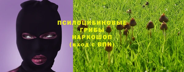 скорость Алзамай