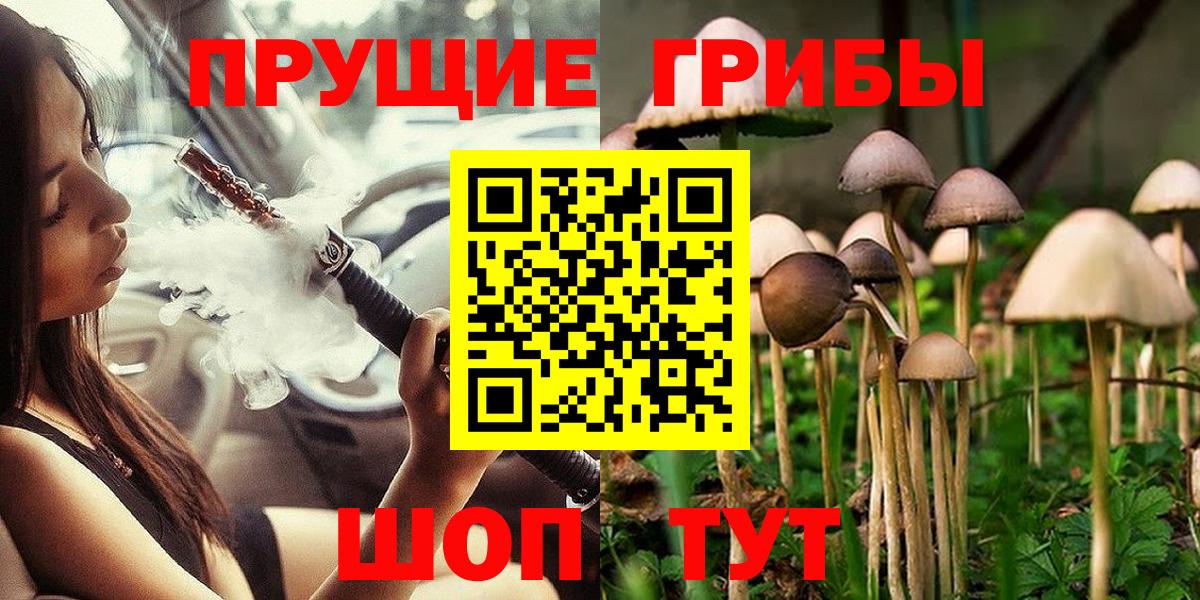 Северодвинск  Галлюциногенные грибы GOLDEN TEACHER  Вход с VPN 